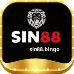 Illustration du profil de sin88bingo